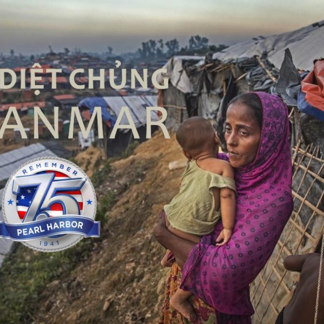Diệt chủng Myanmar - Cuộc đàn áp người Rohingya